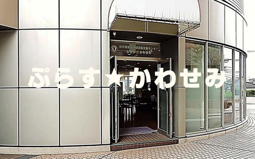 ぷらすかわせみ